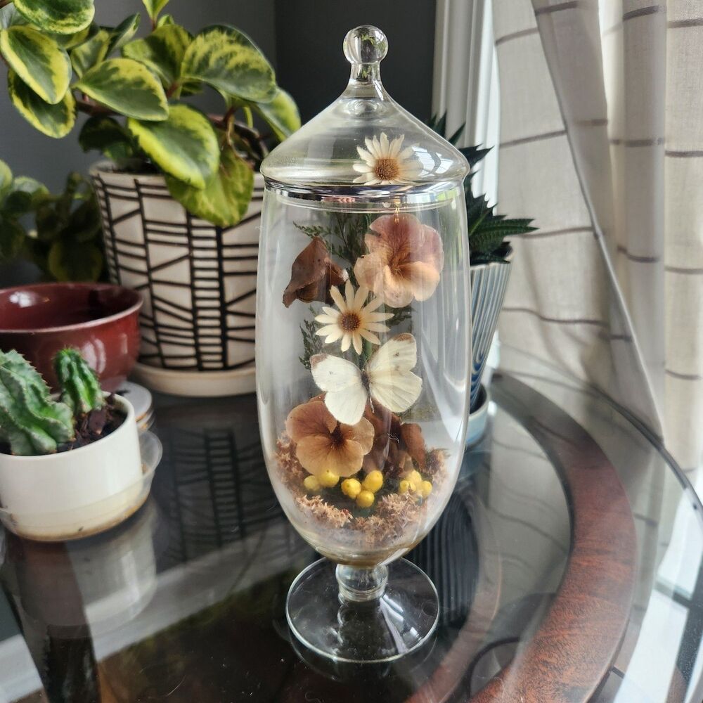 Vtg Apothecary Jar Sealed Butterfly Terrarium Floral Dried Flowers Cottagecore